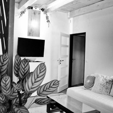 Apartmany Ztracena ロウドニツェ・ナト・ラベム エクステリア 写真