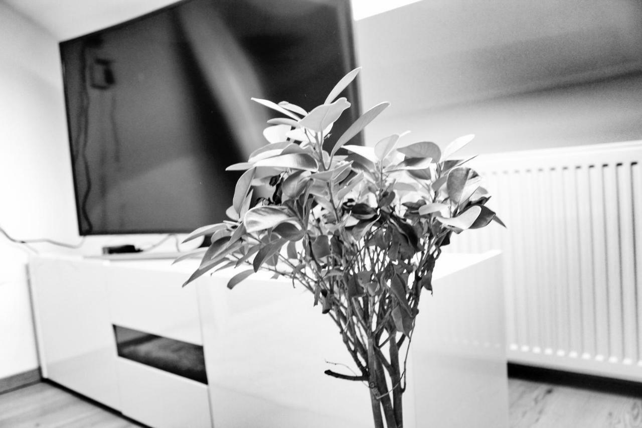 Apartmany Ztracena ロウドニツェ・ナト・ラベム エクステリア 写真